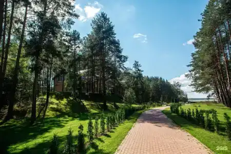 Борвиха - 21