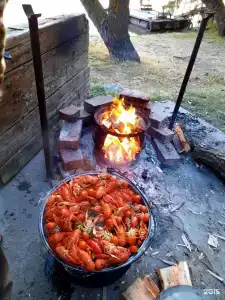 Найт Флайт Дельта - 39