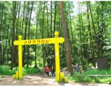 Серебряный родник - 11