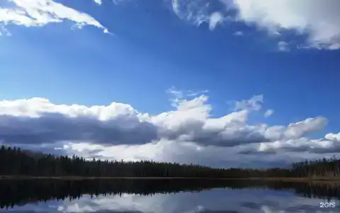 Хекселя - 41
