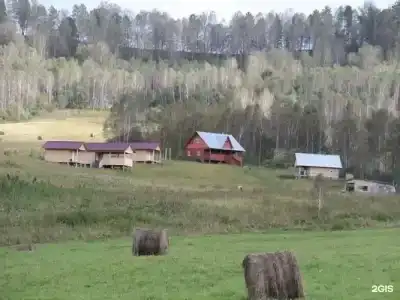 Заповедный бор - 31