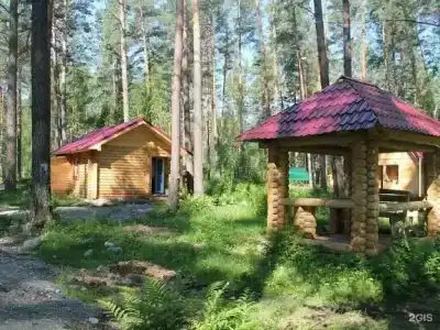 Заповедный бор - 30
