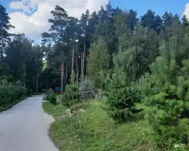 Берлога - 19