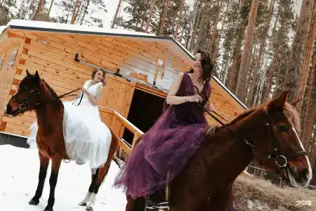 Салют - 41