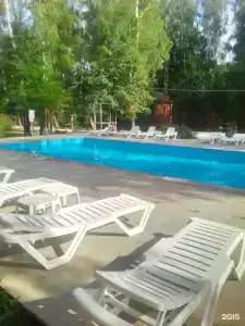 Золотая рыбка - 102