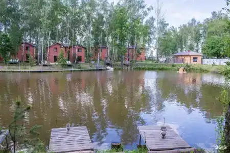 Золотая рыбка - 11