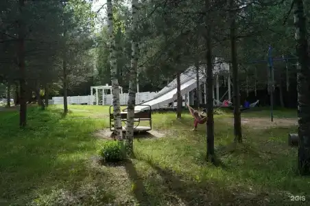 Шишки - 36