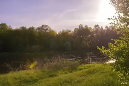 Русский лес - 38
