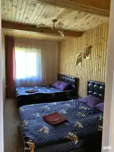 Белый марал - 84
