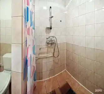Медведь - 45