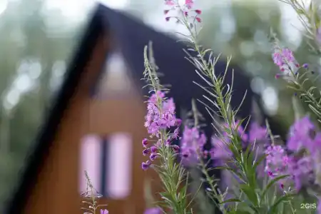 Шале Бо.Кэмп Дом Художника - 29