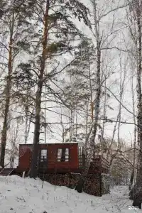 Медвежий угол - 5