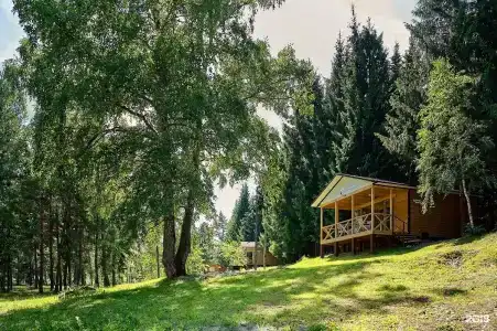 Лесовичок - 11