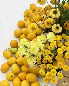 Плавное Течение - 23