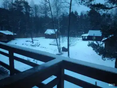 Русский лес - 87