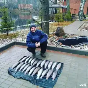 Золотая рыбка - 146