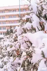 Вешенский - 15