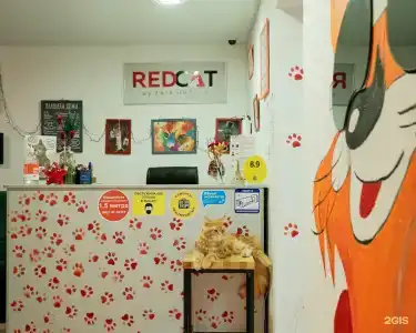 Red Cat - 57