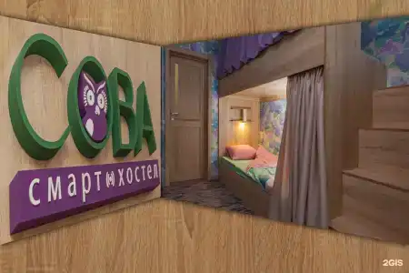 Сова - 25