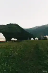 Кокса Парк - 65