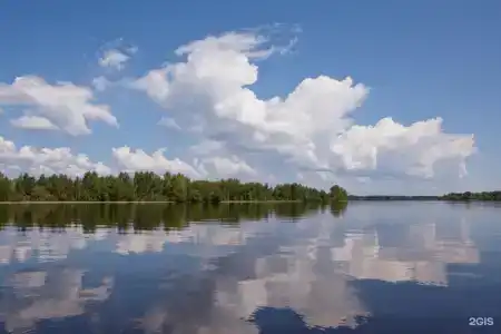 Ласточкин дом - 21