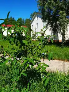 Деревня Назия - 32