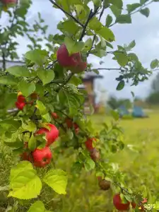 Большой камень - 52