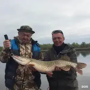 Эко-Порт - 62