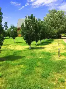 Эко-Порт - 8