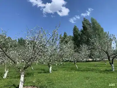 Большая Волга - 42