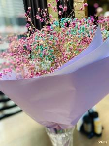 Котиранта - 19