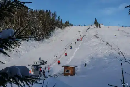 Загородный клуб VALDAY HUNTING & COUNTRY CLUB - 100