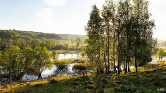 Природный парк Олений - 22
