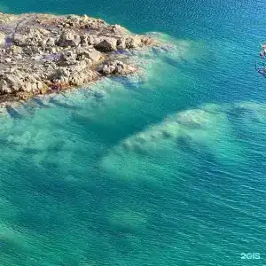 Красный кот - 8