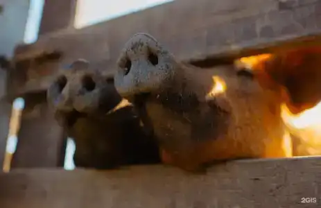Усадьба Кузьмищево - 35