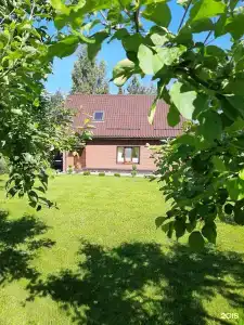 в Петровском - 13
