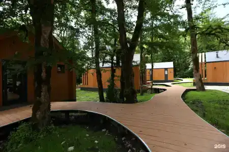 Енот - 39