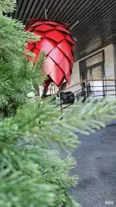 Ольга - 25