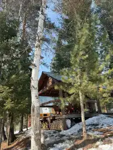 Телецкое Золотое - 90