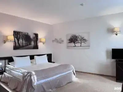 Old Estate Hotel & SPA - 122