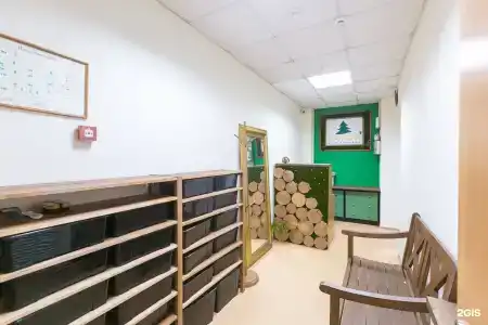 Тайга Нск - 2