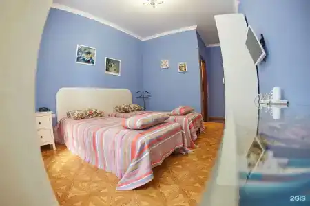 Влада - 10