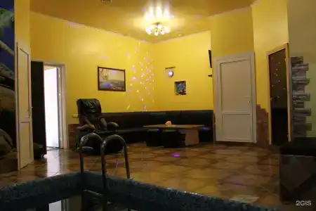 Дельфин - 24