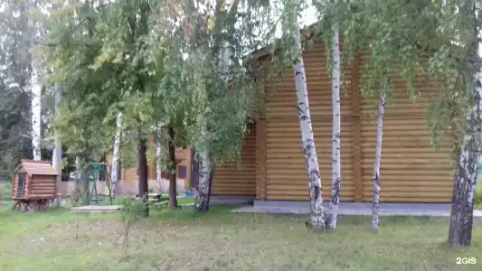 Чайка - 38