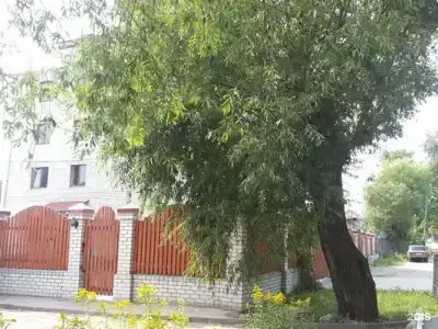 Два крыла - 54