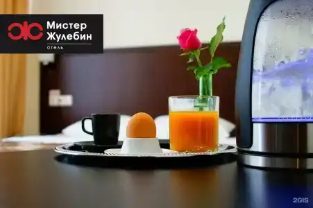 Мистер Жулебин - 38