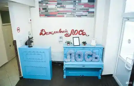 Вежливый Лось на Ярославском шоссе - 1