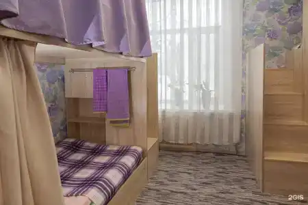 Сова - 22