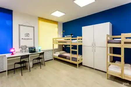 Подушкин - 9