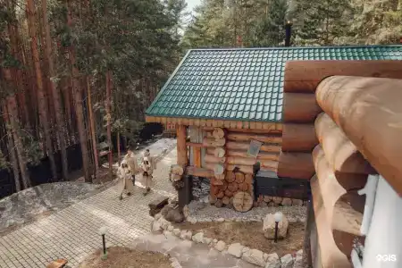 Елки и Волки - 36